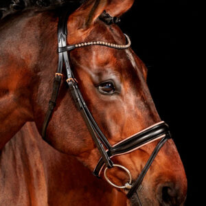 Leather Bridle Waldhausen XLine Rose Gold