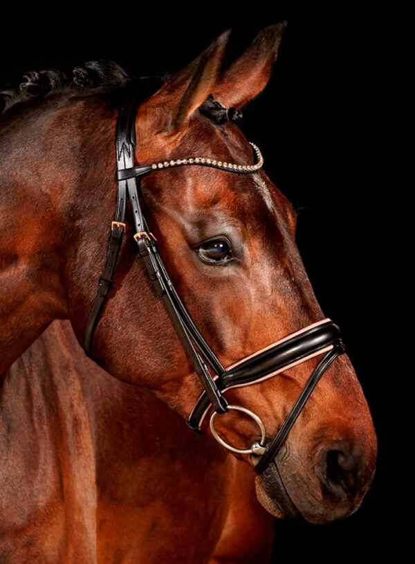Leather Bridle Waldhausen XLine Rose Gold