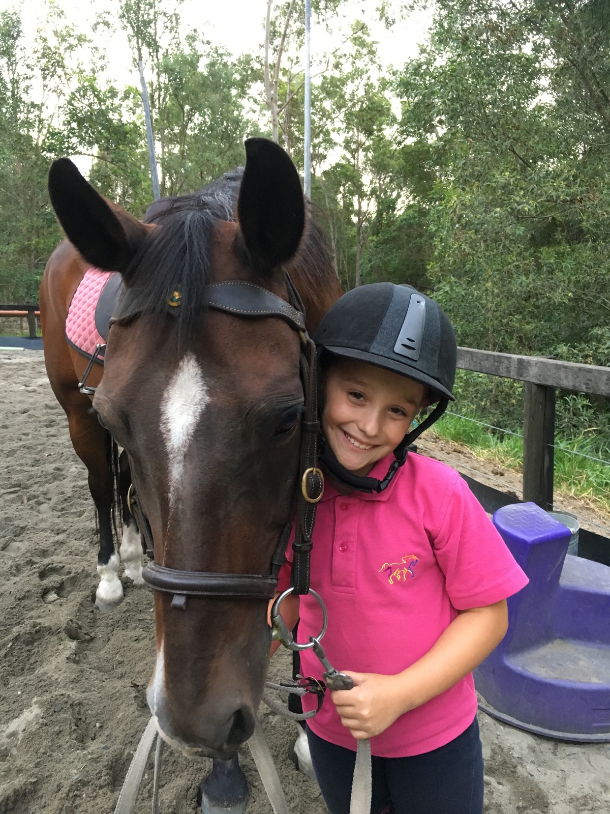 Horse Riding Lessons for Beginners