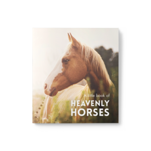 Little Book of Heavenly Horses