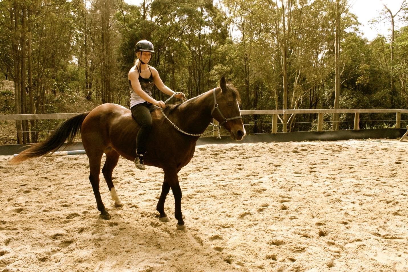 beginner horse riding gear