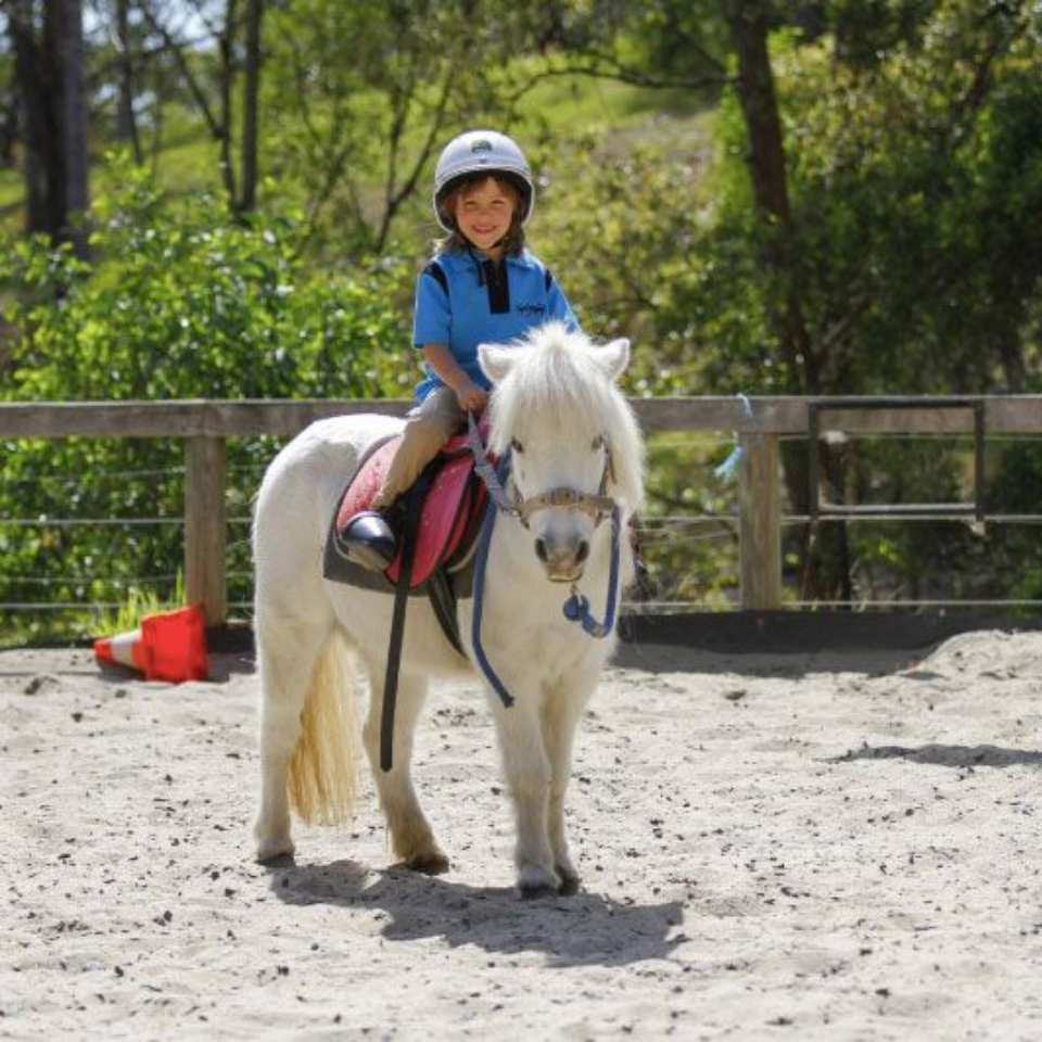 childrens horse riding lessons bonogin
