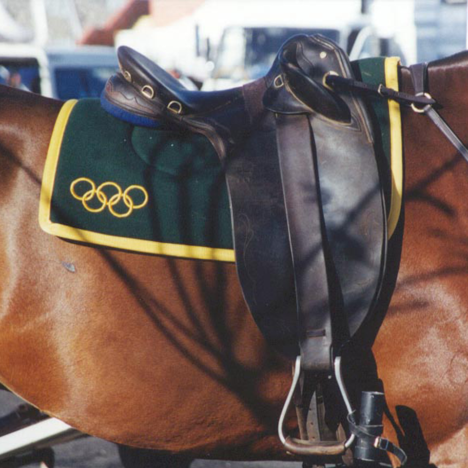Olympic saddle